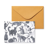 CAT-THEMED CARDS
12 Note Cards for Appreciation & Friendship